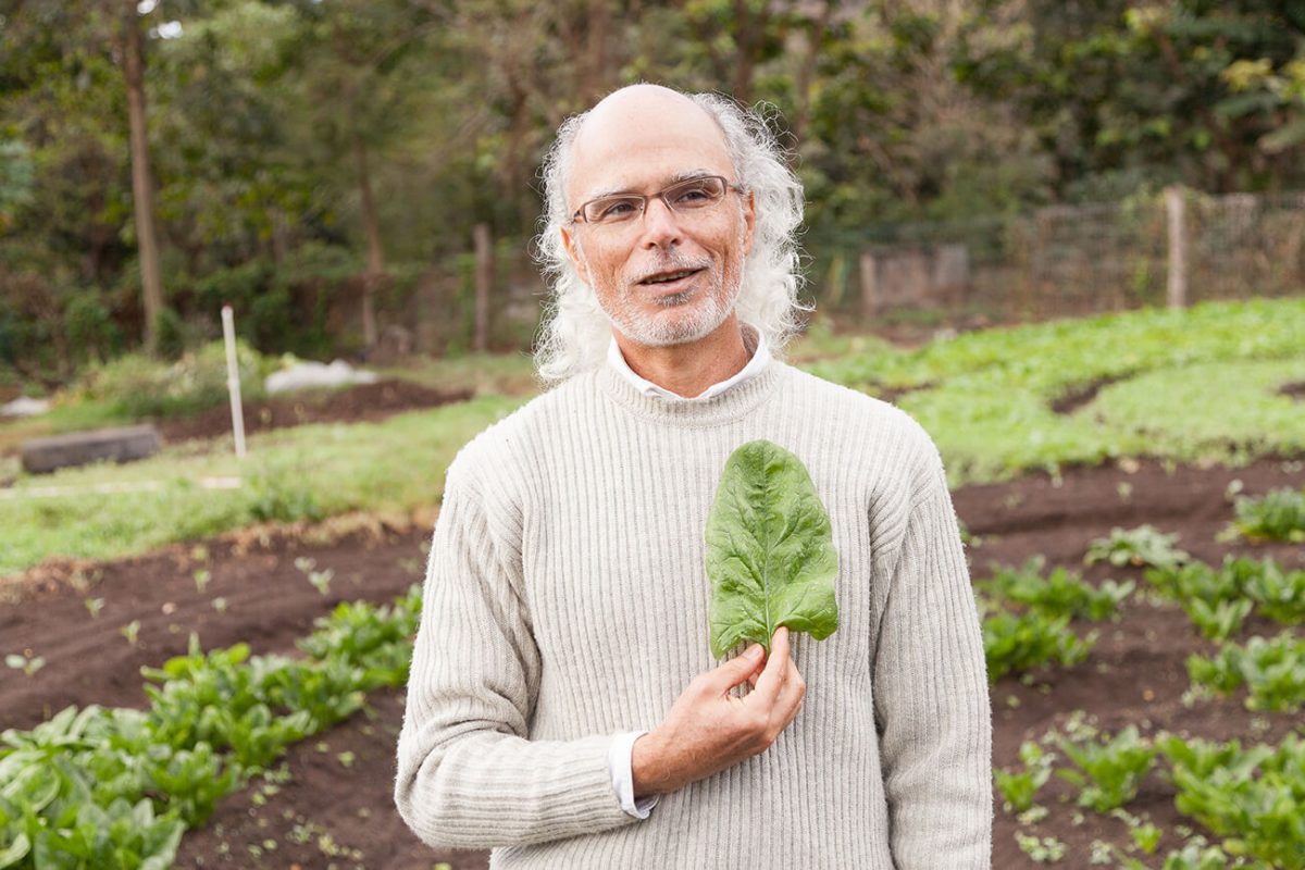 Hoja de Espinaca