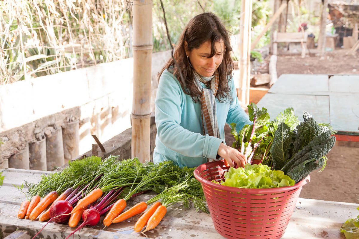 Ligia selecciona los vegetales